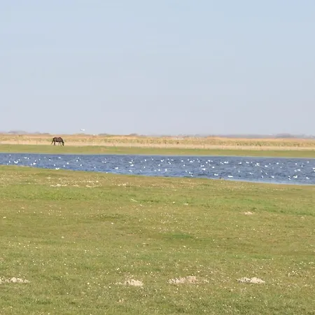 Daire A Cote De La *