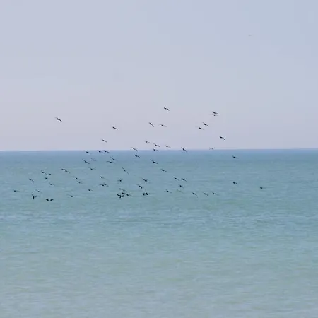 Daire A Cote De La Ault