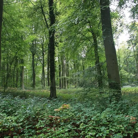 A Cote De La Daire Ault