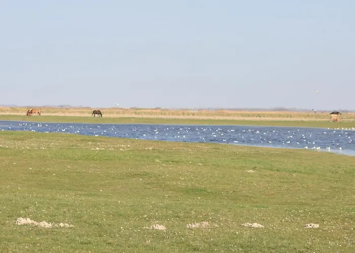 Lejlighed A Cote De La *