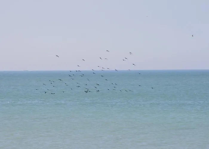 Lejlighed A Cote De La Ault