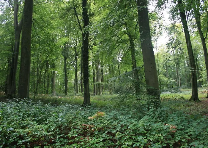 A Cote De La Lejlighed Ault